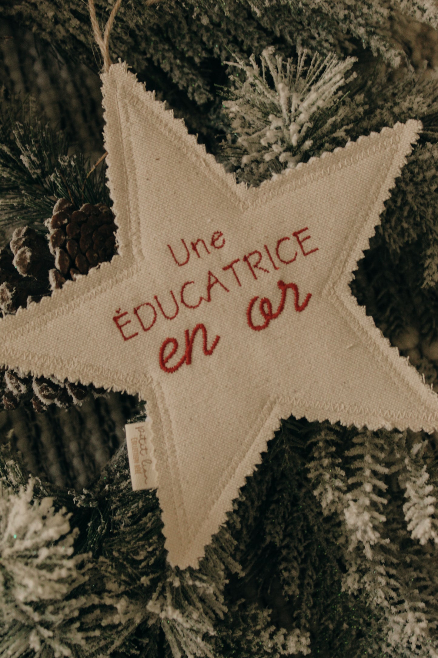 Star Ornament Educator/Teacher